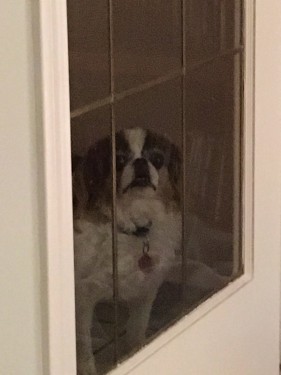 Watching through Door
